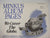Minkus 1990 Israel Singles Stamp Album Supplement New Old Stock