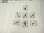 Schaubek Cuba Kuba 1991 Standard Stamp Album Supplement